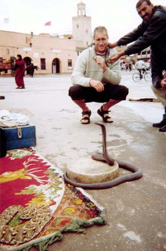 tobysnakes